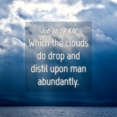 Picture 04 - Job 36:28 KJV - Which the clouds do drop and distil upon man - Bible Verse Picture