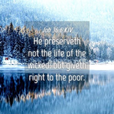 Picture 04 - Job 36:6 KJV - He preserveth not the life of the wicked: but - Bible Verse Picture