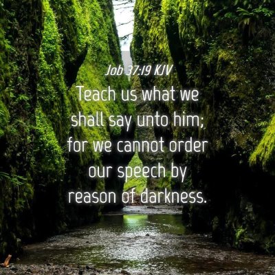 Picture 04 - Job 37:19 KJV - Teach us what we shall say unto him; for we - Bible Verse Picture