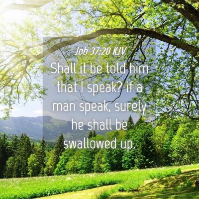 Picture 04 - Job 37:20 KJV - Shall it be told him that I speak? if a man - Bible Verse Picture