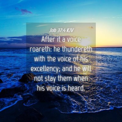 Picture 04 - Job 37:4 KJV - After it a voice roareth: he thundereth with the - Bible Verse Picture