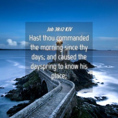 Picture 04 - Job 38:12 KJV - Hast thou commanded the morning since thy days; - Bible Verse Picture