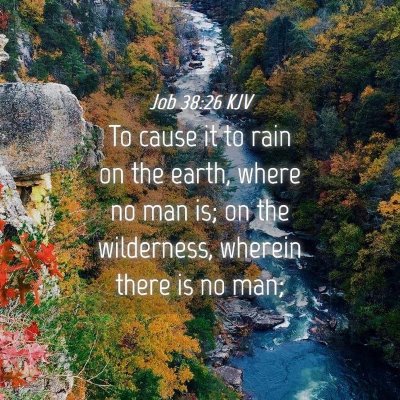 Picture 04 - Job 38:26 KJV - To cause it to rain on the earth, where no man - Bible Verse Picture