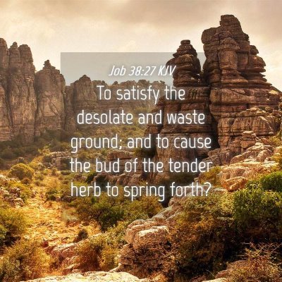 Picture 04 - Job 38:27 KJV - To satisfy the desolate and waste ground; and to - Bible Verse Picture