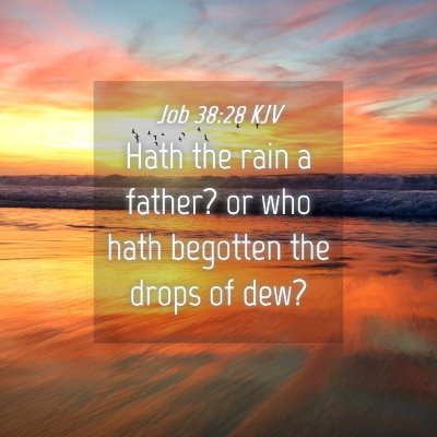 Picture 04 - Job 38:28 KJV - Hath the rain a father? or who hath begotten the - Bible Verse Picture