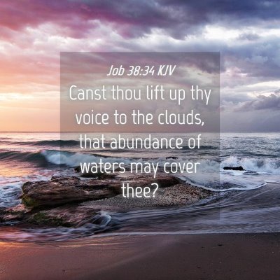 Picture 04 - Job 38:34 KJV - Canst thou lift up thy voice to the clouds, that - Bible Verse Picture
