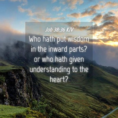 Picture 04 - Job 38:36 KJV - Who hath put wisdom in the inward parts? or who - Bible Verse Picture