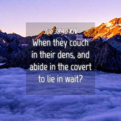 Picture 04 - Job 38:40 KJV - When they couch in their dens, and abide in the - Bible Verse Picture