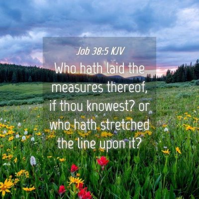 Picture 04 - Job 38:5 KJV - Who hath laid the measures thereof, if thou - Bible Verse Picture