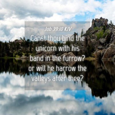 Picture 04 - Job 39:10 KJV - Canst thou bind the unicorn with his band in the - Bible Verse Picture