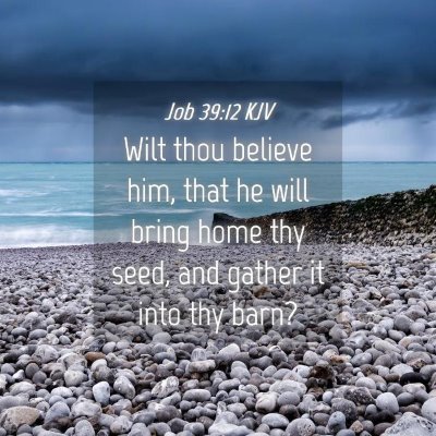 Picture 04 - Job 39:12 KJV - Wilt thou believe him, that he will bring home - Bible Verse Picture