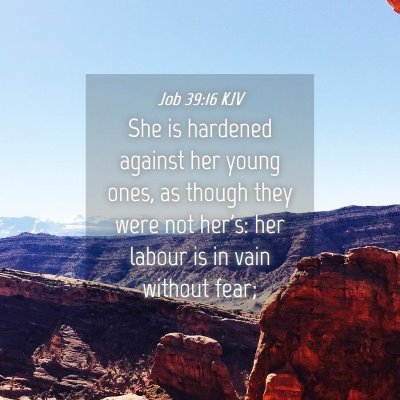 Picture 04 - Job 39:16 KJV - She is hardened against her young ones, as though - Bible Verse Picture