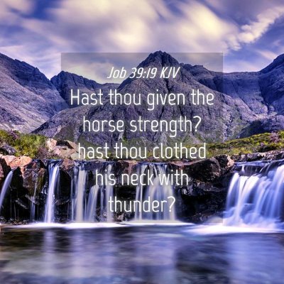 Picture 04 - Job 39:19 KJV - Hast thou given the horse strength? hast thou - Bible Verse Picture