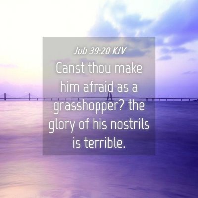 Picture 04 - Job 39:20 KJV - Canst thou make him afraid as a grasshopper? the - Bible Verse Picture