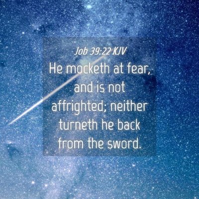 Picture 04 - Job 39:22 KJV - He mocketh at fear, and is not affrighted; - Bible Verse Picture
