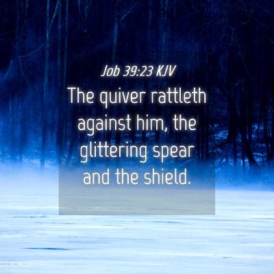 Picture 04 - Job 39:23 KJV - The quiver rattleth against him, the glittering - Bible Verse Picture