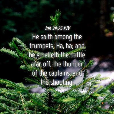 Picture 04 - Job 39:25 KJV - He saith among the trumpets, Ha, ha; and he - Bible Verse Picture