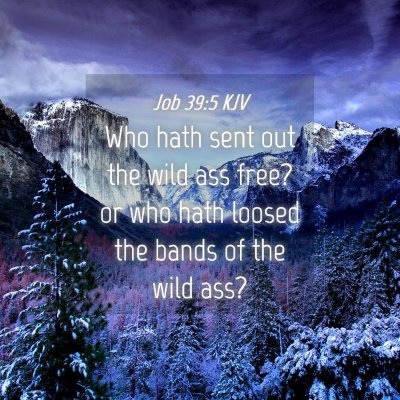 Picture 04 - Job 39:5 KJV - Who hath sent out the wild ass free? or who hath - Bible Verse Picture