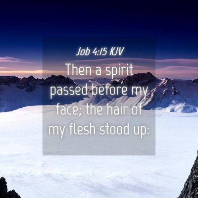 Picture 04 - Job 4:15 KJV - Then a spirit passed before my face; the hair of - Bible Verse Picture