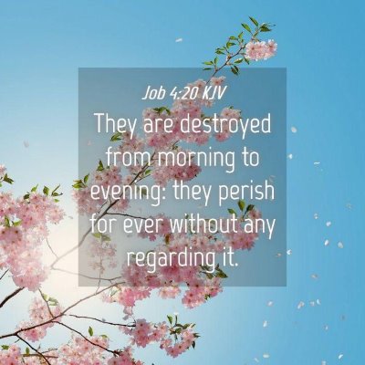 Picture 04 - Job 4:20 KJV - They are destroyed from morning to evening: they - Bible Verse Picture