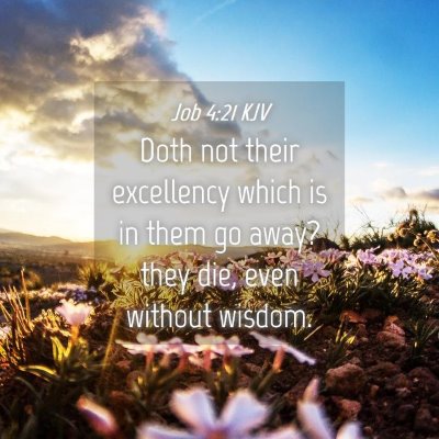 Picture 04 - Job 4:21 KJV - Doth not their excellency which is in them go - Bible Verse Picture
