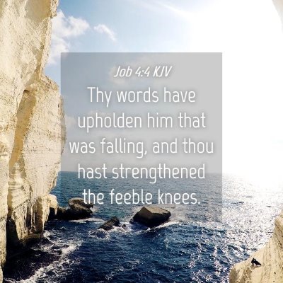 Picture 04 - Job 4:4 KJV - Thy words have upholden him that was falling, and - Bible Verse Picture
