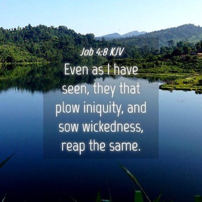 Picture 04 - Job 4:8 KJV - Even as I have seen, they that plow iniquity, and - Bible Verse Picture