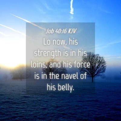 Picture 04 - Job 40:16 KJV - Lo now, his strength is in his loins, and his - Bible Verse Picture