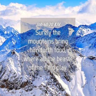Picture 04 - Job 40:20 KJV - Surely the mountains bring him forth food, where - Bible Verse Picture