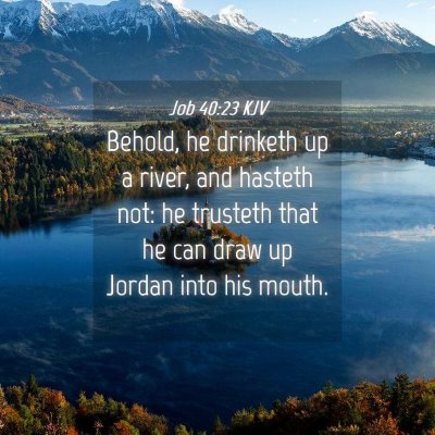 Picture 04 - Job 40:23 KJV - Behold, he drinketh up a river, and hasteth not: - Bible Verse Picture