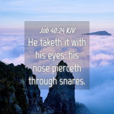 Picture 04 - Job 40:24 KJV - He taketh it with his eyes: his nose pierceth - Bible Verse Picture