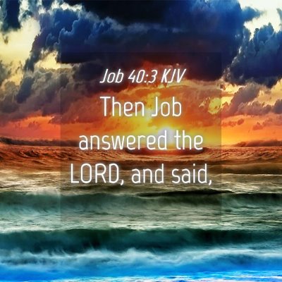 Picture 04 - Job 40:3 KJV - Then Job answered the LORD, and - Bible Verse Picture