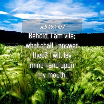 Picture 04 - Job 40:4 KJV - Behold, I am vile; what shall I answer thee? I - Bible Verse Picture