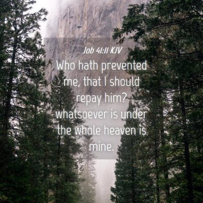 Picture 04 - Job 41:11 KJV - Who hath prevented me, that I should repay him? - Bible Verse Picture