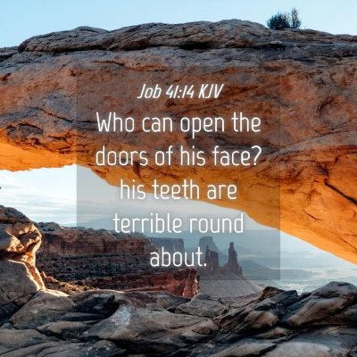 Picture 04 - Job 41:14 KJV - Who can open the doors of his face? his teeth are - Bible Verse Picture