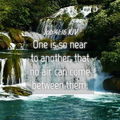 Picture 04 - Job 41:16 KJV - One is so near to another, that no air can come - Bible Verse Picture