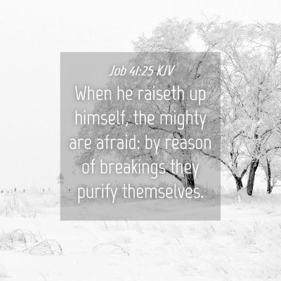 Picture 04 - Job 41:25 KJV - When he raiseth up himself, the mighty are - Bible Verse Picture