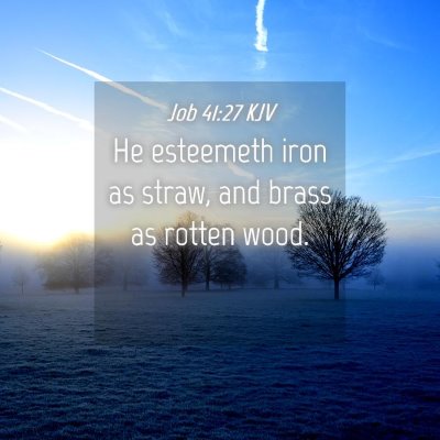Picture 04 - Job 41:27 KJV - He esteemeth iron as straw, and brass as rotten - Bible Verse Picture