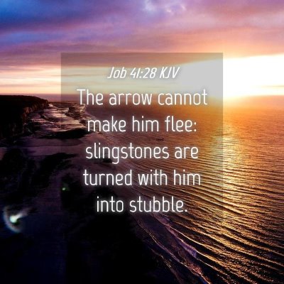 Picture 04 - Job 41:28 KJV - The arrow cannot make him flee: slingstones are - Bible Verse Picture