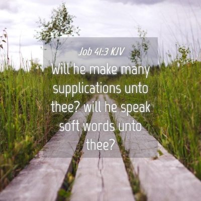 Picture 04 - Job 41:3 KJV - Will he make many supplications unto thee? will - Bible Verse Picture