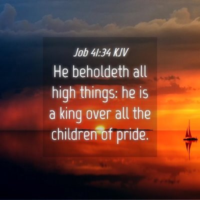 Picture 04 - Job 41:34 KJV - He beholdeth all high things: he is a king over - Bible Verse Picture