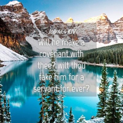 Picture 04 - Job 41:4 KJV - Will he make a covenant with thee? wilt thou take - Bible Verse Picture
