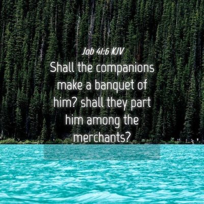 Picture 04 - Job 41:6 KJV - Shall the companions make a banquet of him? shall - Bible Verse Picture