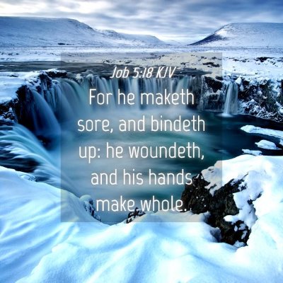 Picture 04 - Job 5:18 KJV - For he maketh sore, and bindeth up: he woundeth, - Bible Verse Picture