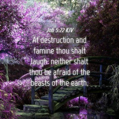 Picture 04 - Job 5:22 KJV - At destruction and famine thou shalt laugh: - Bible Verse Picture