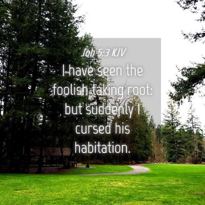 Picture 04 - Job 5:3 KJV - I have seen the foolish taking root: but suddenly - Bible Verse Picture