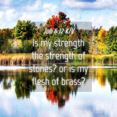 Picture 04 - Job 6:12 KJV - Is my strength the strength of stones? or is my - Bible Verse Picture