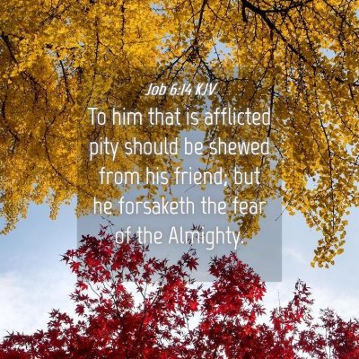 Picture 04 - Job 6:14 KJV - To him that is afflicted pity should be shewed - Bible Verse Picture