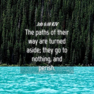 Picture 04 - Job 6:18 KJV - The paths of their way are turned aside; they go - Bible Verse Picture