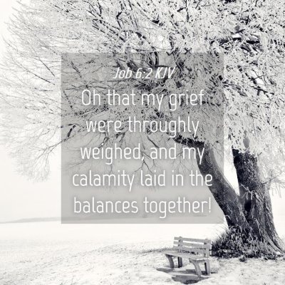 Picture 04 - Job 6:2 KJV - Oh that my grief were throughly weighed, and my - Bible Verse Picture